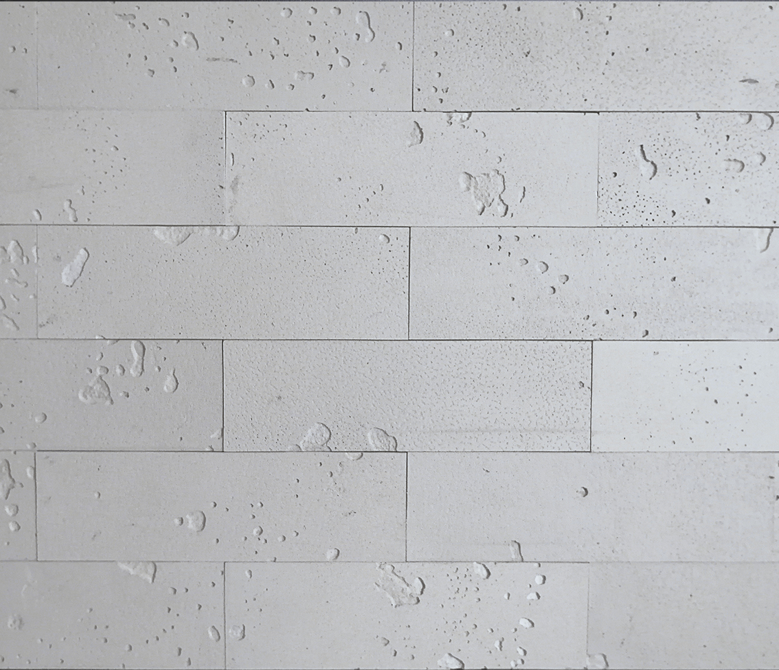 BOLIX CONCRETE EFFECT PANEL – CONCRETE SLIPS